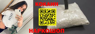 шишки Гай