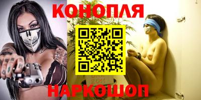 шишки Гай