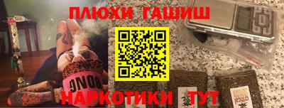 шишки Гай
