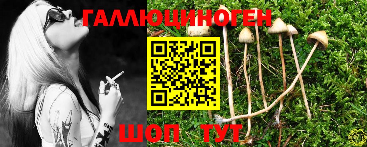 Муравленко  Псилоцибиновые грибы мухоморы  Вход с VPN 